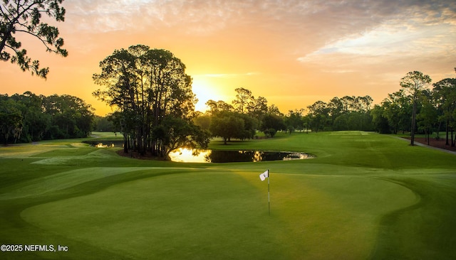 7868 Woodsdale Ln, Jacksonville, FL 32256 - surrounding community with view of scattered trees, a water view, golf course view, a lawn, and a putting area