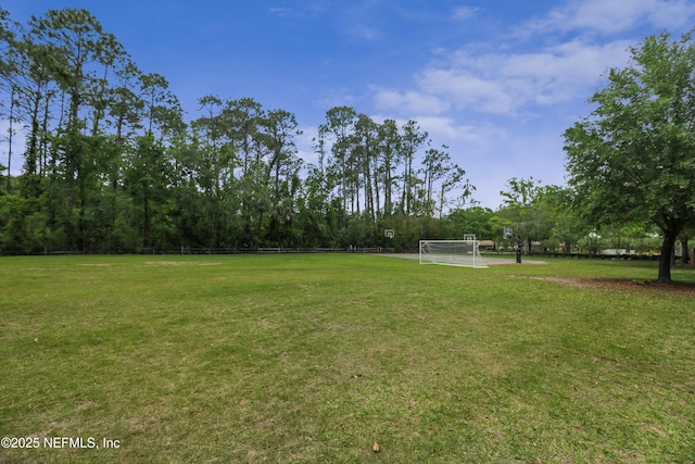 7868 Woodsdale Ln, Jacksonville, FL 32256 - view of yard featuring a sport area
