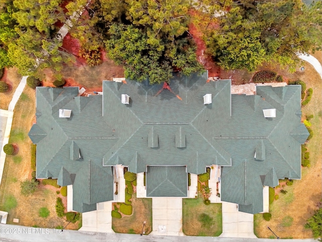 bird's eye view