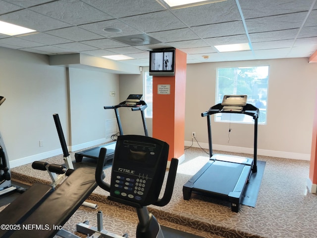 workout room featuring a paneled ceiling, carpet floors, and baseboards