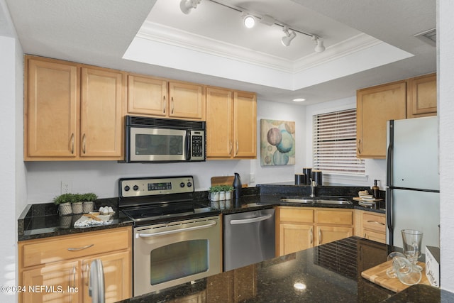 858 Shoreline Cir, Ponte Vedra Beach, FL 32082 - kitchen with stainless steel appliances, a tray ceiling, ornamental molding, a sink, and dark stone counters