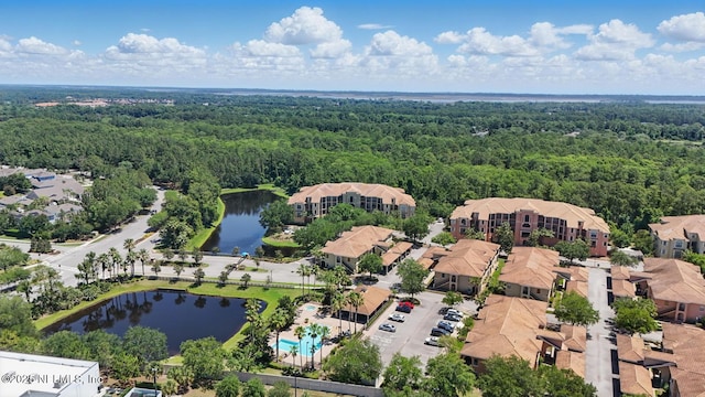 200 Paseo Terraza Unit 203, Saint Augustine, FL 32095 - aerial view of a forest and a nearby body of water