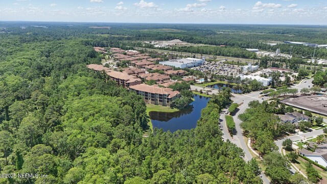 200 Paseo Terraza Unit 203, Saint Augustine, FL 32095 - aerial view of a heavily wooded area and a nearby body of water