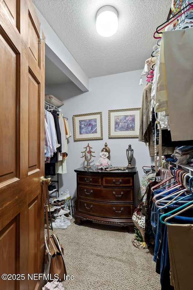 3041 Marrano Dr, Orange Park, FL 32073 - spacious closet featuring carpet