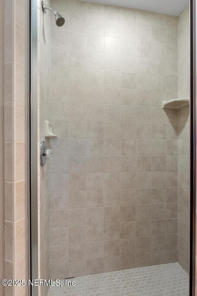 3041 Marrano Dr, Orange Park, FL 32073 - bathroom with a stall shower