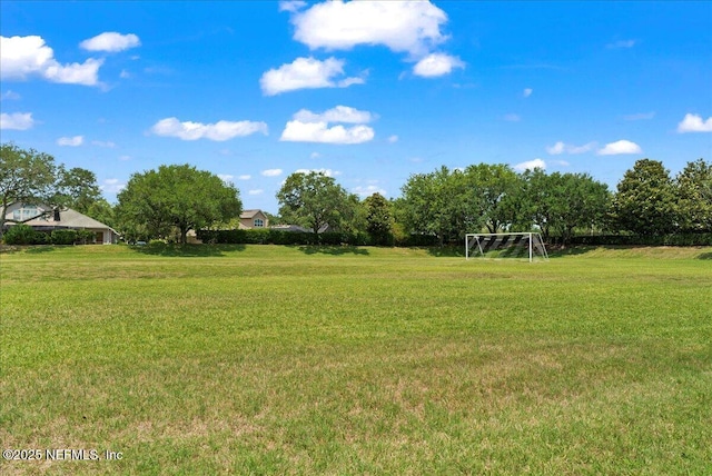 11092 Turnbridge Dr Unit 74, Jacksonville, FL 32256 - view of yard featuring an area for soccer