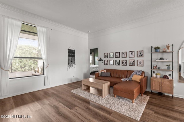 living room featuring wood finished floors, ornamental molding, and a textured ceiling