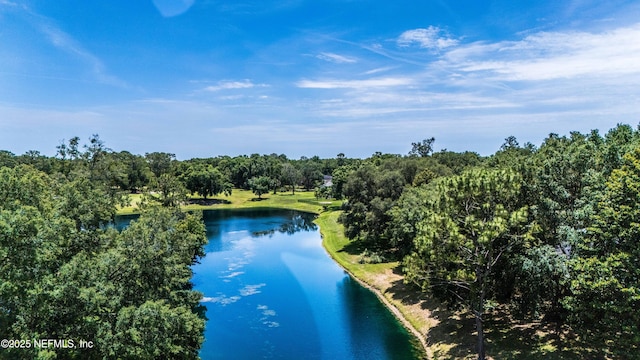 1839 Turnberry Ct, Green Cove Springs, FL 32043 - photo 81
