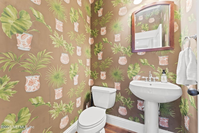 bathroom with wallpapered walls, baseboards, toilet, and wood finished floors