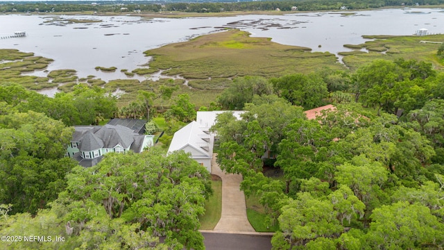 bird's eye view of a nearby body of water