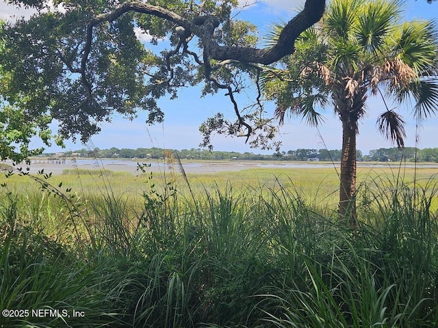 96385 Springwood Ln, Fernandina Beach, FL 32034 - water view