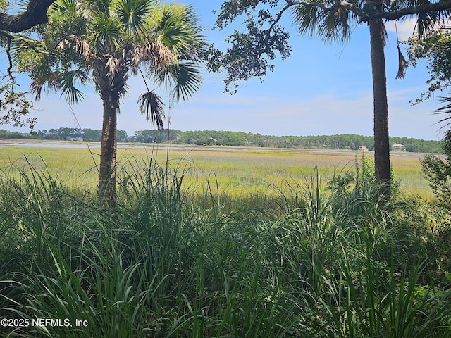 96385 Springwood Ln, Fernandina Beach, FL 32034 - view of local wilderness