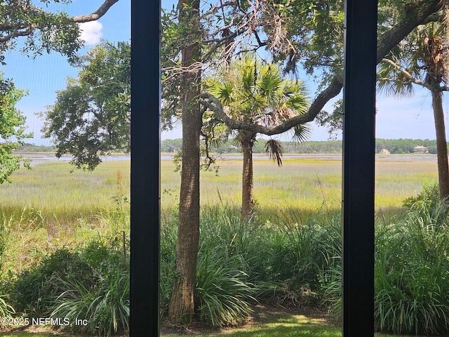 96385 Springwood Ln, Fernandina Beach, FL 32034 - view of yard
