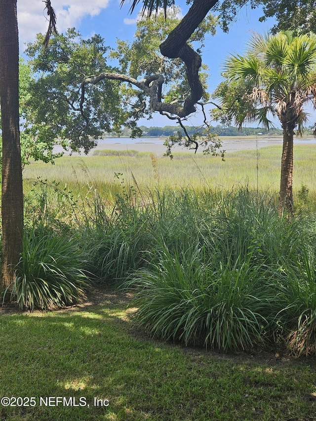 96385 Springwood Ln, Fernandina Beach, FL 32034 - view of yard