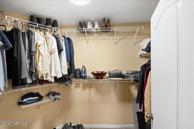 221 Thornloe Dr, Saint Johns, FL 32259 - view of walk in closet