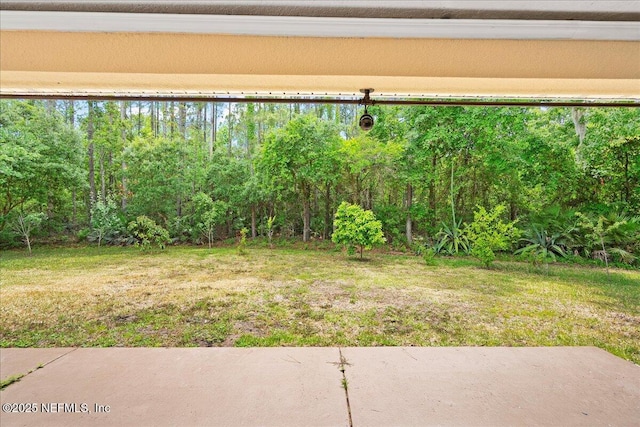 221 Thornloe Dr, Saint Johns, FL 32259 - view of green lawn