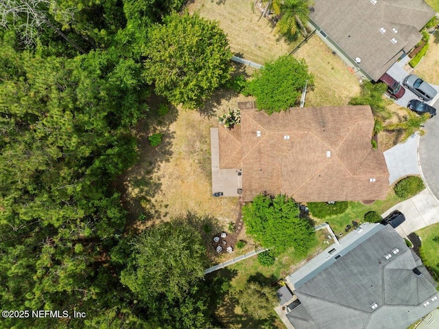 221 Thornloe Dr, Saint Johns, FL 32259 - drone / aerial view