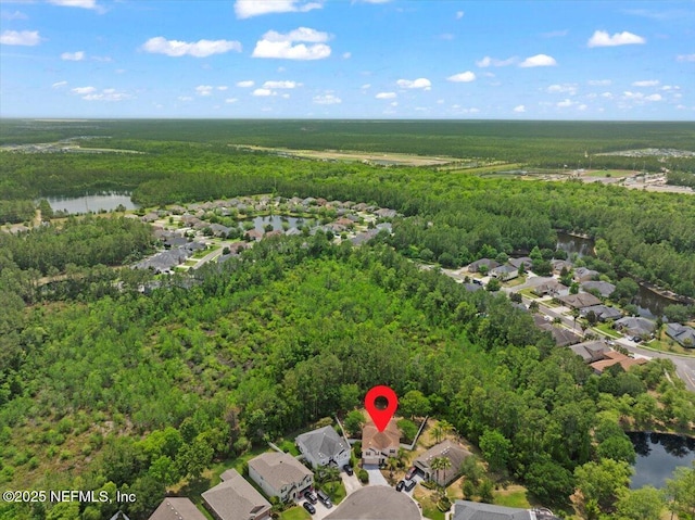 221 Thornloe Dr, Saint Johns, FL 32259 - aerial view of residential area with a forest and a nearby body of water