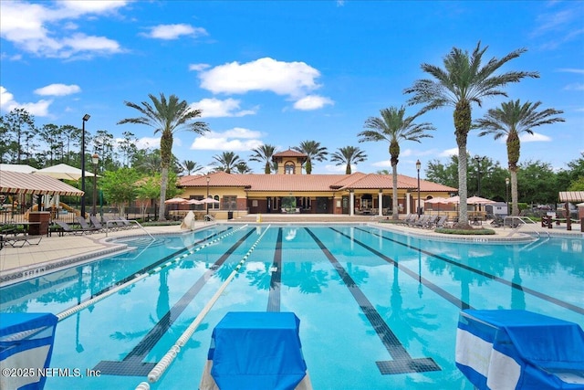 221 Thornloe Dr, Saint Johns, FL 32259 - community pool with a patio area and fence