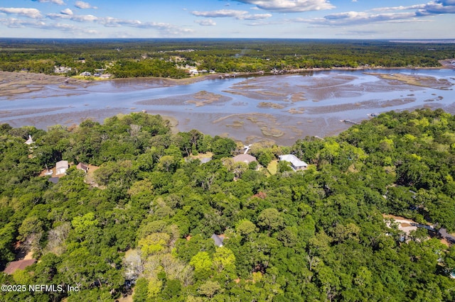 96448 Marsh Hen Rd, Fernandina Beach, FL 32034 - view of property location with a forest and a large body of water