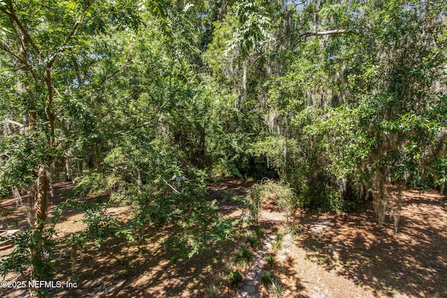 96448 Marsh Hen Rd, Fernandina Beach, FL 32034 - view of wooded area