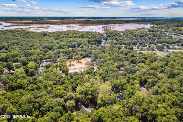 96448 Marsh Hen Rd, Fernandina Beach, FL 32034 - aerial view of a forest