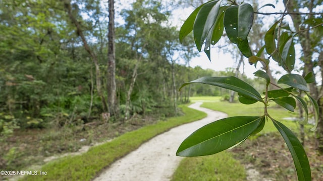 167 Charmer Trce, Saint Augustine, FL 32092 - view of surrounding community