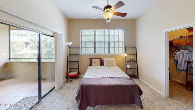 bedroom with multiple windows, carpet, and a walk in closet