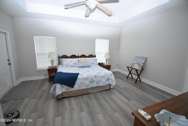 bedroom with a tray ceiling, wood finished floors, multiple windows, and baseboards