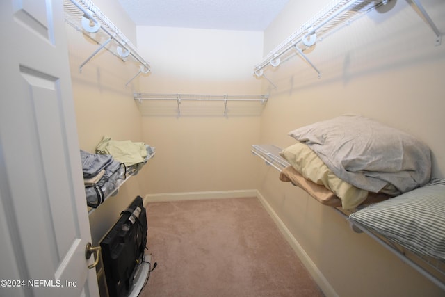 walk in closet featuring carpet