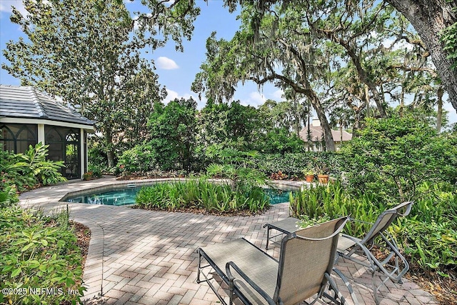 view of patio with an outdoor pool