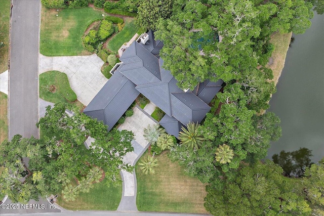 drone / aerial view