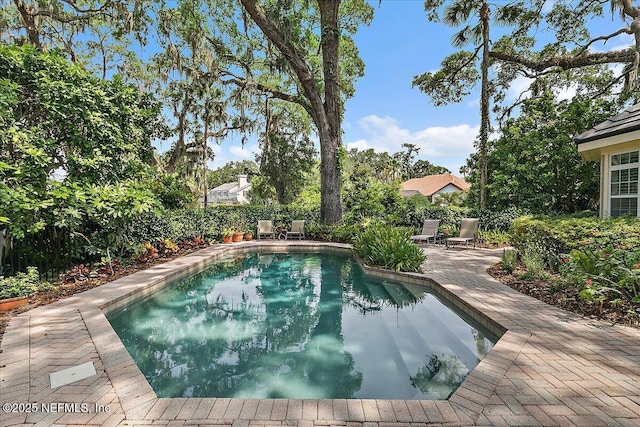 view of swimming pool with a patio area