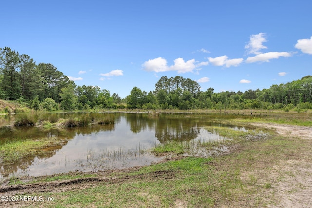 water view featuring a heavily wooded area