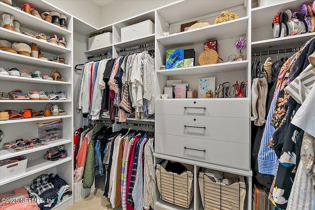 view of walk in closet