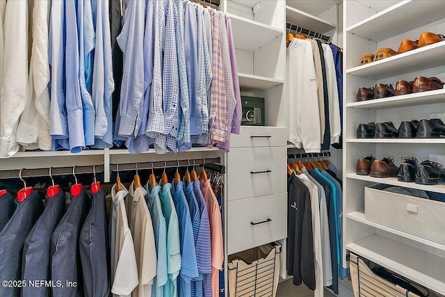 view of spacious closet