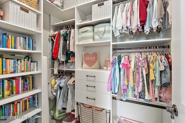 view of spacious closet