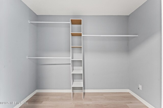 2617 Lake Shore Blvd, Jacksonville, FL 32210 - view of closet