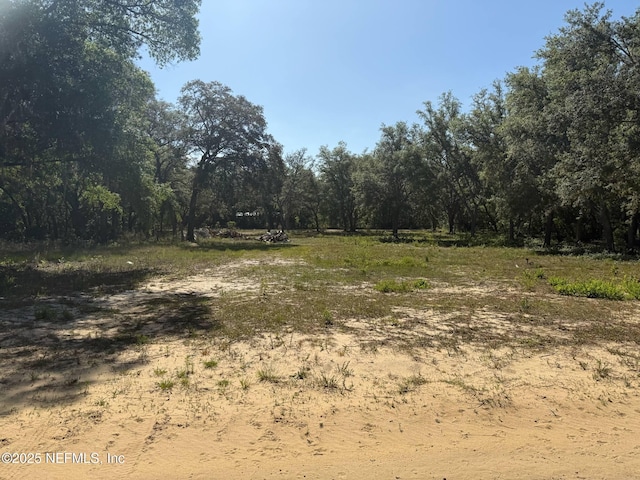 1013 Usina Ave, Interlachen, FL 32140