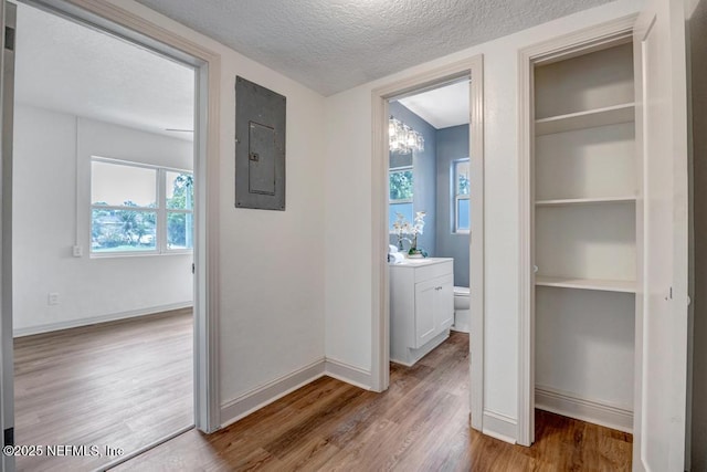 5530 Sharon Ter, Jacksonville, FL 32207 - corridor with wood finished floors, electric panel, a textured ceiling, a chandelier, and baseboards