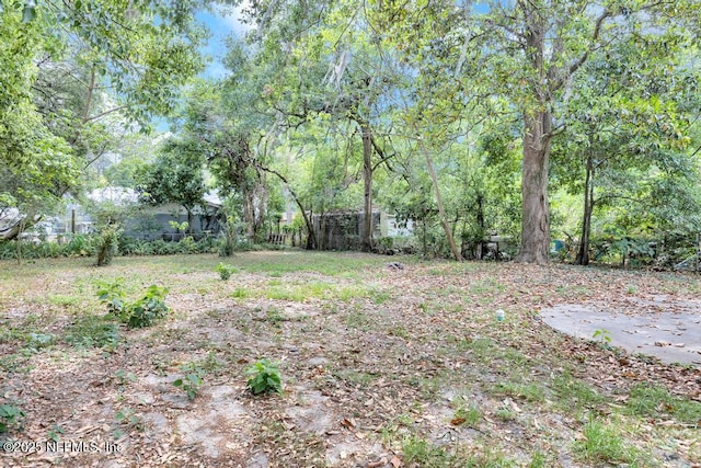 5530 Sharon Ter, Jacksonville, FL 32207 - view of yard