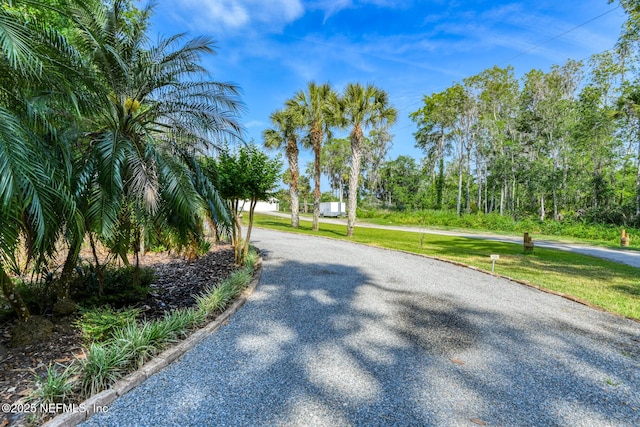 130 Woodbury Trl, Satsuma, FL 32189 - view of road