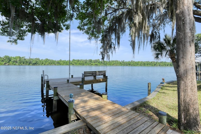 130 Woodbury Trl, Satsuma, FL 32189 - dock area featuring a water view and a forest view