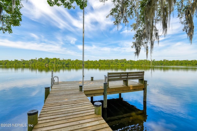 130 Woodbury Trl, Satsuma, FL 32189 - dock area with a water view