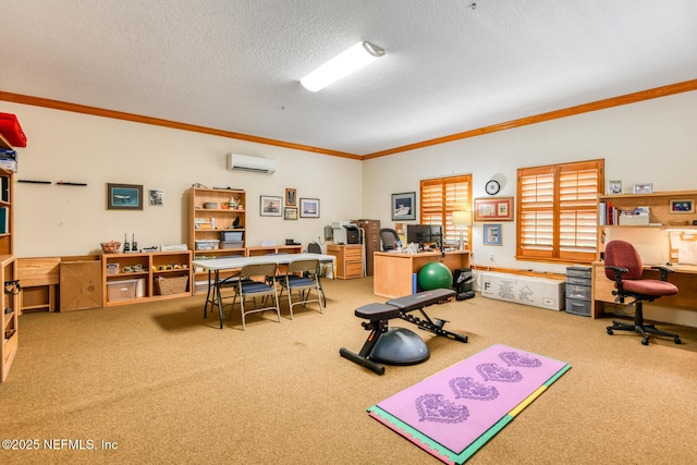 130 Woodbury Trl, Satsuma, FL 32189 - exercise area featuring a wall unit AC, carpet, ornamental molding, and a textured ceiling