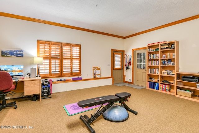 130 Woodbury Trl, Satsuma, FL 32189 - exercise room with carpet floors and ornamental molding