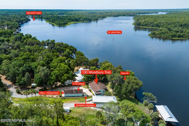 130 Woodbury Trl, Satsuma, FL 32189 - bird's eye view of a forest and a nearby body of water