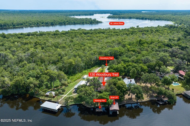 130 Woodbury Trl, Satsuma, FL 32189 - bird's eye view of a heavily wooded area and a large body of water