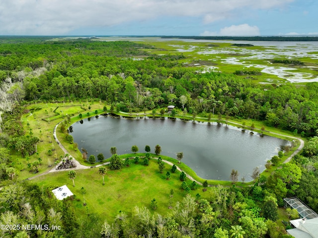 618 Honeycomb Trl, Saint Augustine, FL 32095 - bird's eye view of a forest and a large body of water