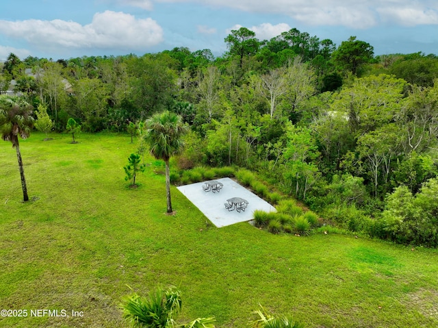 618 Honeycomb Trl, Saint Augustine, FL 32095 - drone / aerial view of a heavily wooded area